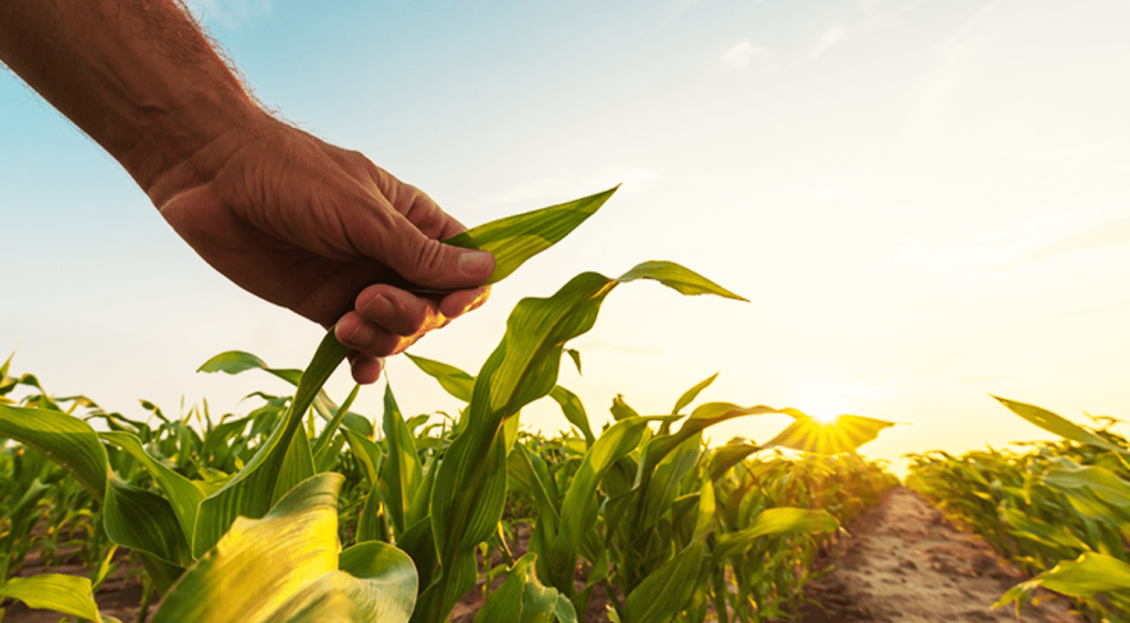 protect-crops-banner