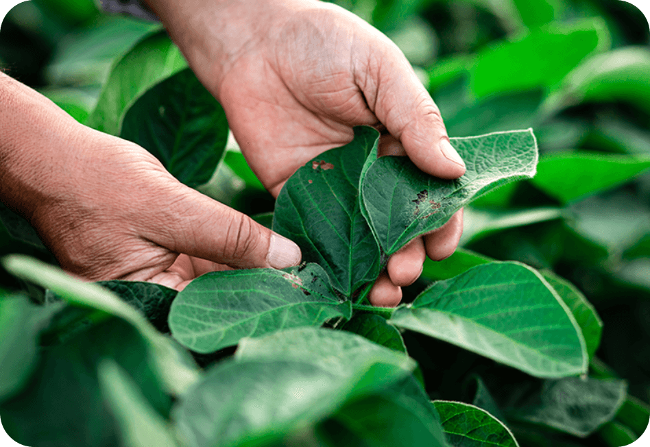 protect-crops-top