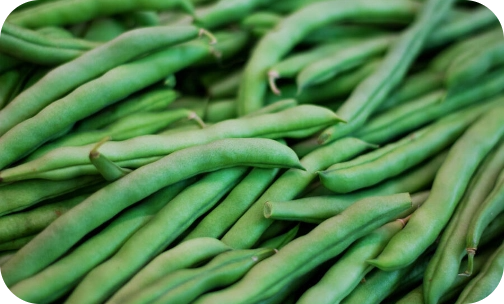 seminis-beans