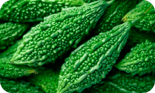 seminis-bitter-gourd