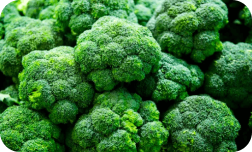 seminis-broccoli