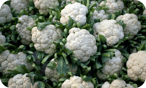 seminis-cauliflowers