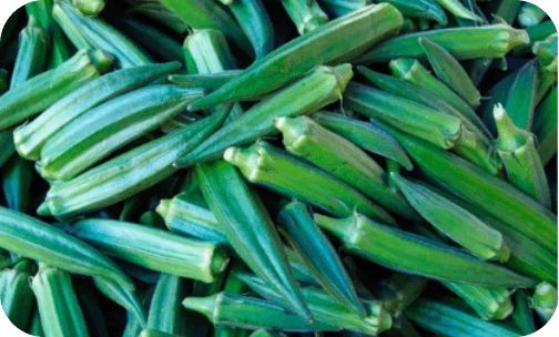 seminis-okra