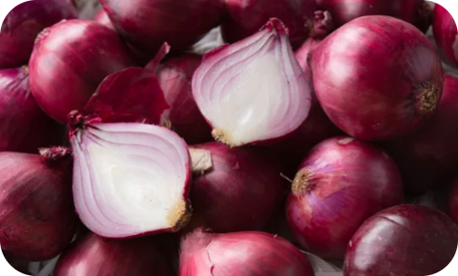 seminis-onion