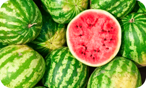 seminis-watermelon
