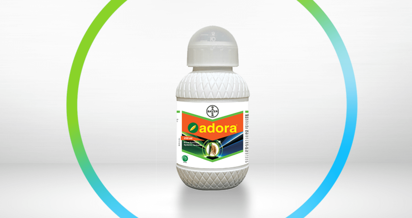 Bayer Adora Herbicide Effective for Rice Crop Protection