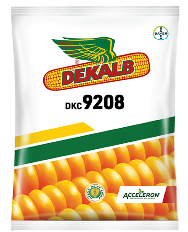 DEKALB
