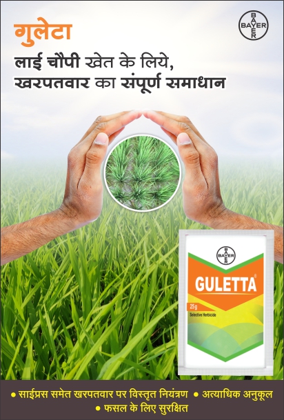 guletta-campaign-banner-mob